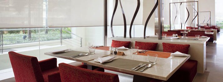 652/Holiday Inn Mumbai International Airport - Mumbai 11.jpg